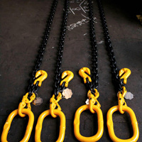 Mine minière noire Grade 80 G80 levage bleu Grade 100 G100 élingue de levage PVC enduit élingue de chaîne de levage