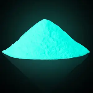 New Pigment Powder Luminous Glow In The Dark Powder For Nail Art Polish Tumblers
