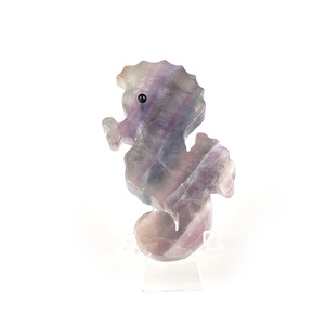2025 vendita calda naturale guarigione pietre di cristallo arcobaleno Fluorite ippocampo intaglio per la decorazione regalo intaglio artigianato - Product Image 5