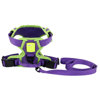 Harnais personnalisé lumineux dans le noir pour hamster et perroquet, gilet réglable en forme de H, laisse pour animaux de grande taille, OEM, marque privée, gris, 100 % nylon