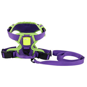 Arnés de Gato Personalizado que Brilla en la Oscuridad, Chaleco Ajustable en Forma de H con Correa para Perros Pequeños y Gatitos, Suministros para Mascotas con Etiqueta Privada OEM - Product Image 5