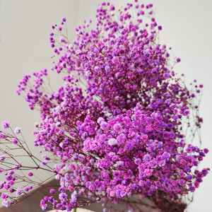 <span class=keywords><strong>Fleur</strong></span> de Gypsophile Stabilisée pour Mariage, 1 Botte de 100-120g, Arrangement Artisanal pour Usage Domestique - Product Image 5