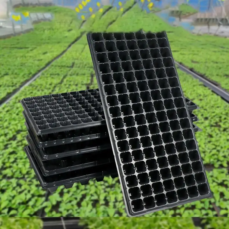200セルPSブラックプラスチックプラグシードは、植物繁殖苗床苗のための発芽トレイを成長させ始めます