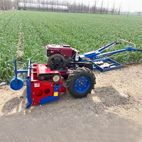 Petite machine à récolter les pommes de terre, équipement de récolte d'oignons à une rangée, équipement de récolte de carottes pour la récolte du gingembre