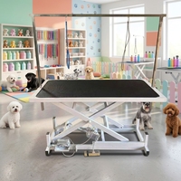 Table de toilettage électrique pour chiens et chats, table de soin pour animaux de compagnie de grande taille