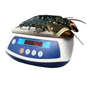 Báscula Electrónica Impermeable IP68 Veidt, Báscula Digital para Conteo de Pescado, Mariscos y Alimentos, ACS-704, Báscula Electrónica Impermeable IP68 - Product Image 2