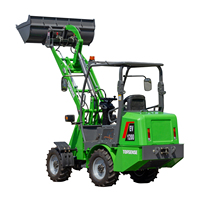 Trattore Compatto Multifunzione per Agricoltura e Silvicoltura, Mini Escavatore, Skid Steer, Dumper, Caricatore Frontale, Piccolo Caricatore Elettrico di Produzione Cinese