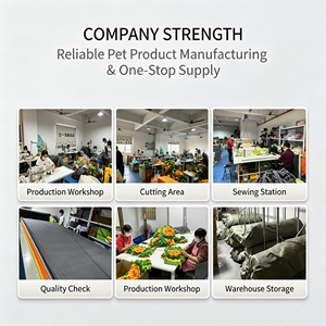 Juguete Masticable <span class=keywords><strong>de</strong></span> Peluche Personalizado al por Mayor para Perros - Juguetes Duraderos y Ecológicos <span class=keywords><strong>de</strong></span> Algodón con Forma <span class=keywords><strong>de</strong></span> Flamenco y Cuerda <span class=keywords><strong>de</strong></span> Pavo - Product Image 2