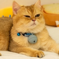 Collier de suivi de chat GPS léger Navigateur GPS Étanche IP67 180 jours d'autonomie de la batterie Suivi en temps réel Geofencing Silicone