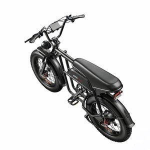 Bicicleta Eléctrica Fat Tire X2 para Adultos, 48V 250W, Batería de Litio, Asistencia al Pedaleo, Urbana, Todoterreno, Híbrida, 7 Velocidades, Suspensión Delantera - Product Image 3