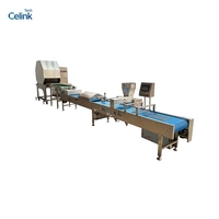 Máquina Comercial para Hacer Envoltorios de Rollitos Primavera, Máquina Automática para Hacer Piel de Rollitos Primavera para Línea de Procesamiento de Alimentos en Restaurantes