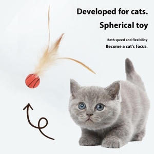 Xinle ลูกบอลขนไก่พลาสติกสำหรับ<span class=keywords><strong>แม</strong></span>วของเล่นที่มีขนแบบโต้ตอบเล่นด้วยตัวเองเป็น<span class=keywords><strong>ม</strong></span>ิตรกับสิ่งแวดล้อ<span class=keywords><strong>ม</strong></span> - Product Image 2