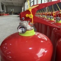 Extincteur à poudre sèche de qualité supérieure CE EN3 ISO 2KG 4KG 6KG 90% 70% avec valve CE pour la suppression des incendies