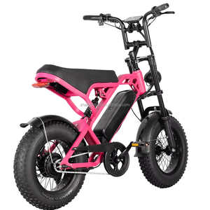 Véhicule électrique V20 Mini Edition 500 watts 48 volts avec pneus larges de 16 pouces, norme européenne, disponible en stock depuis les entrepôts européens - Product Image 2