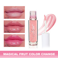 Vente en gros de brillant hydratant Variation Vegan Transparent Lip Oil Cosmetics Temperature Lip Repulpant Gloss