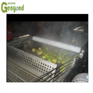 Industrielle Mango Pulper Extractor Entsafter Maschine Mango Pulp Juice Making Machine - Product Image 4