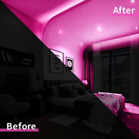 Ruban LED Néon Flexible Rose 12V de 5m (16,4ft) Étanche pour Vitrines et Présentoirs de Magasins – Idéal pour les Designers de Vitrines et de Commerces