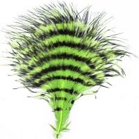 Coq coloré à motifs barqués pour loisirs créatifs, coiffure, matériel <span class=keywords><strong>de</strong></span> montage <span class=keywords><strong>de</strong></span> mouches <span class=keywords><strong>de</strong></span> pêche, ornement, décoration <span class=keywords><strong>de</strong></span> franges <span class=keywords><strong>de</strong></span> rêve - Product Image 2