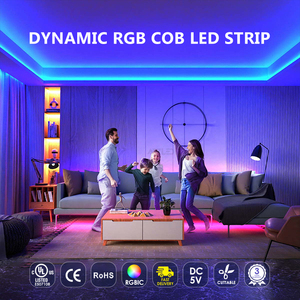 ไฟ LED แบบ COB RGBIC 5v 180 RGBIC  แบบ Addressable  พร้อมพอร์ต USB 5V แรงดันต่ำ ไม่มีจุดแสง ไฟ LED แบบ COB ดิจิตอล Addressable - Product Image 6