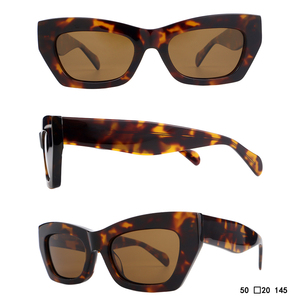 Phụ Nữ Cat mắt màu sắc phù hợp với bio-acetate Khung kính mát hợp thời trang nhựa UV chống Sun <span class=keywords><strong>Glasses</strong></span> biểu tượng tùy chỉnh Shades Kính - Product Image 5