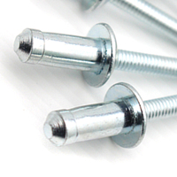 Rivets aveugles structurels à tête ronde de 7,8 mm