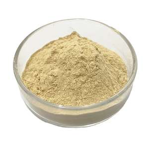 Poudre de fruit d'Amla pure de haute qualité, qualité alimentaire personnalisée, extraction par solvant, emballée sous vide - Product Image 2