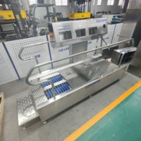 Estación de Higiene Automática Estándar Global para Vestuarios Industriales - Solución Llave en Mano de Fábrica