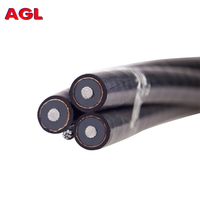 Beste Qualität Chinesischer Hersteller Periwinkle Triplex Service 2-Paar-Edelstahl-Abc-Kabel mit AC SR Neutralleiterklemme