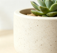 Pot de fleurs biodégradable en fibre de coque de riz de haute qualité pour semis, à fond carré, pour usage au sol et en centre commercial