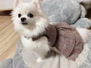 Vestido xadrez de natal para cachorros, moda de luxo, vestido, verão, fino, para animais de estimação, vestido para tutu - Product Image 2