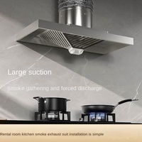 Grande hotte de cuisine domestique à gaz, ventilateur de ventilation, hotte aspirante, Machine d'extraction de fumée simple, grande aspiration domestique