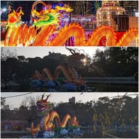 Lanterne Dragon chinois Chine LED Danse du dragon Accessoire de performance Costume de dessin animé Fête du printemps Danses du dragon et du lion