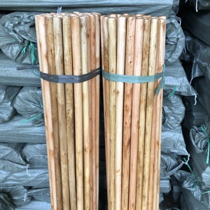 Venta caliente nueva línea americana <span class=keywords><strong>palo</strong></span> <span class=keywords><strong>de</strong></span> <span class=keywords><strong>escoba</strong></span> <span class=keywords><strong>de</strong></span> madera barnizada <span class=keywords><strong>palo</strong></span> <span class=keywords><strong>de</strong></span> mopa y mango <span class=keywords><strong>de</strong></span> <span class=keywords><strong>escoba</strong></span> al por mayor juego <span class=keywords><strong>de</strong></span> recogedor y escobas - Product Image 4