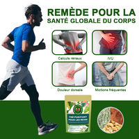OEM Thé Purifiant Pour Les Reins, Tisane Naturelle de Soutien Rénal et Vésical, Favorise la Détoxification et un Urage Facilité, Sachets de Thé Bien-être
