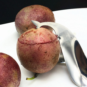 ที่ตัดเสาวรสรูปปลาวาฬทำจากสแตนเลส ช้อนตัดผลไม้ สำหรับเปิดเสาวรส - Product Image 3