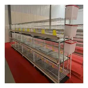 Hot sale Battery Cages for Broiler Chicken with Poultry Equipment