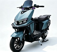 YT Commercial Delivery Electric Motorbike Full Crash Guard Rear Cargo Rack 200kg Max Load 50-60km Range 60V/72V 1000-2000W Dual