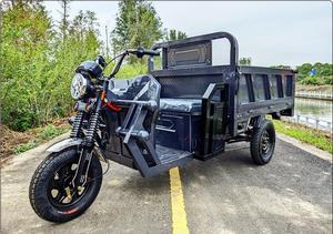 Tricycle électrique cargo pour adultes 1000W, certifié CCC, fabriqué en Chine - Product Image 2