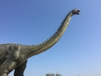Modèle de dinosaure animatronique réaliste en métal sur mesure OEM Zigong pour usage public intérieur/extérieur, centre commercial, maison, parc d'attractions