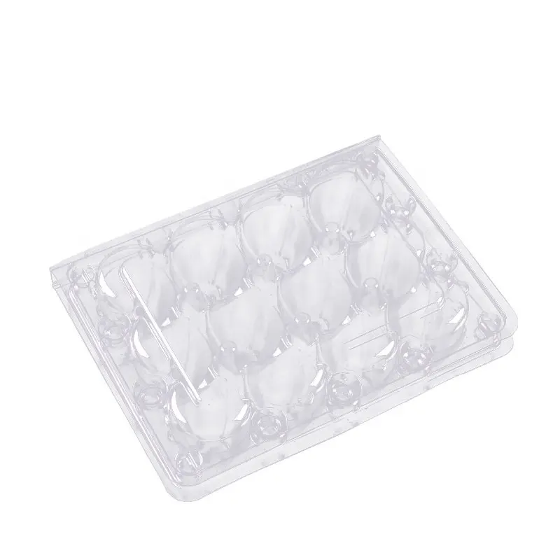 Pigeon Eggs Large 12 Quail Eggs Plastic Tray Carton Containers