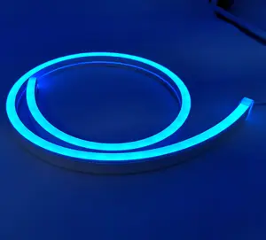 DC12V 24V Waterproof LED Neon Strip Light Flexible Soft Lighting Colorful Silicon LED Strip Lamp