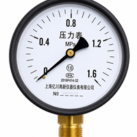 Dry General Pressure Gauge 1.6 Accuracy Grade Black Steel Case Brass Thread Connection 0-1.6MPa