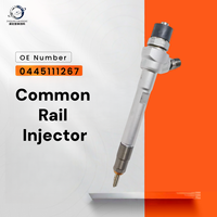 Livraison rapide 1000001328 Injecteur de carburant compatible avec le moteur diesel Weichai Power