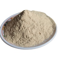 Cas 84604-16-0 poudre de saccharomyces cerevisiae 20 milliards de cfu/g levure de vin de saccharomyces cerevisiae pour le vin rouge