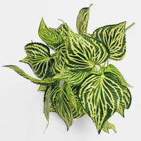 Plante artificielle à 9 têtes, feuilles d'Alocasia et de Monstera, simulation de plante verte, décoration intérieure, plante en pot, vente en gros