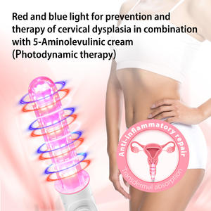 Baguette magique pour la santé des femmes Machine de rajeunissement vaginal Baguette de rajeunissement vaginal Machine de rajeunissement vaginal - Product Image 4