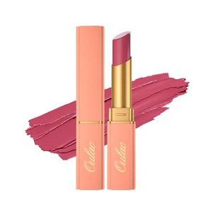 OULAC pintauñas de piel a piel <span class=keywords><strong>al</strong></span> por mayor labios cosméticos belleza duradera impermeable mate lápiz labial líquido de terciopelo lápiz labial mate secreto - Product Image 1