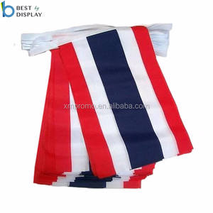 100% полиэстер дешевые декоративные флаги для овсянки 48 команд футбольные флаги - Product Image 5