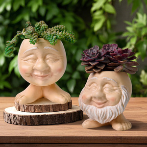 Figuras de Resina con Forma de Rostro, Estilo Nuevo, Personalizadas, para Jardinería de Suculentas, Decoración Ecológica para el Hogar y el Jardín - Product Image 1