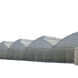 FM商用200ミクロンUVプラスチックイスラエルポリトンネルトマト水耕空気耕温室カバーシートフィルムコスト